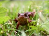 040720_groda1