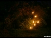 040904_ljusstrak1